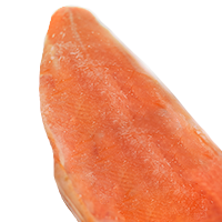 FotoFile-de-Salmao-1.png