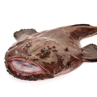 FotoTamboriu.png